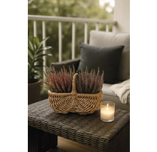 Dekorativa ljungväxter i en rottingkorg på ett trädgårdsbord med ett ljus