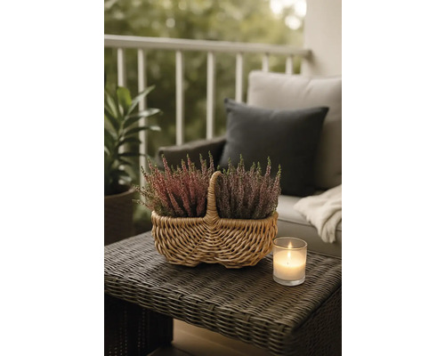 Dekorativa ljungväxter i en rottingkorg på ett trädgårdsbord med ett ljus