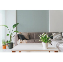 Vardagsrum med grå soffa, prydnadskuddar, krukväxter och vitt bord