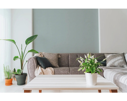 Vardagsrum med grå soffa, prydnadskuddar, krukväxter och vitt bord