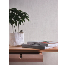 Dekorativ scen med krukväxt, böcker och ett träskåp