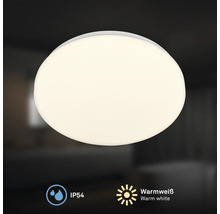 Rund taklampa med IP54-skydd och varmvitt ljus