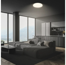 Vardagsrum med soffa, kök och rund taklampa