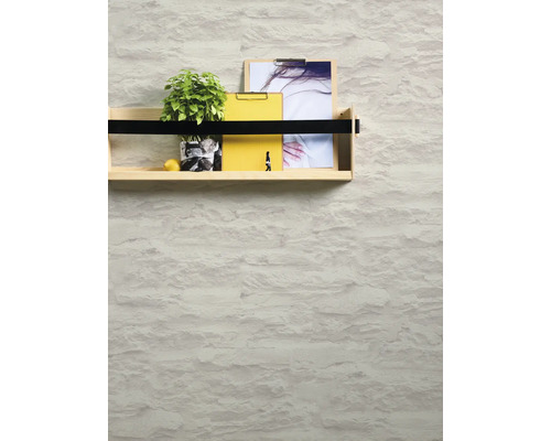 Vägghylla med växt, citron, skrivplattor och bilder