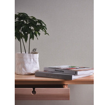 Dekorativ scen med krukväxt, böcker och träkonsol