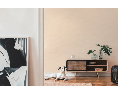 Vardagsrum med träskåp, dekoration, konstverk och en hund på en matta.