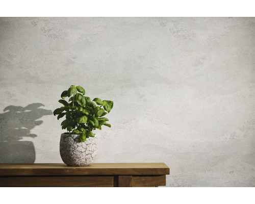 Basilika växt i kruka på ett träbord