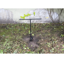 Jordborr i trädgården