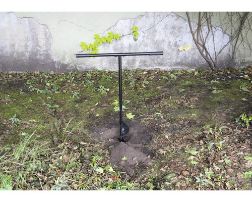 Jordborr i trädgården