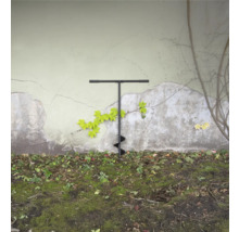 Jordborr i trädgården framför en vägg