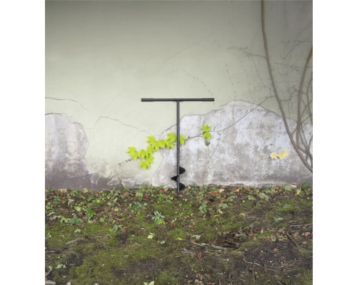 Jordborr i trädgården framför en vägg