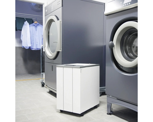 Tvättstuga med tvättmaskiner, torktumlare och tvättmedelsautomat för kommersiellt bruk.