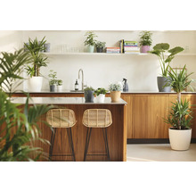 Ljust kök med träelement, växter och två barstolar