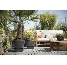 Terrass med växter i gråa krukor och sittgrupp