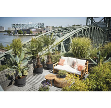 Takterrass med trägolv, bänk med kuddar, bord och växter framför en stålbro.