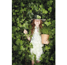 Flicka med hatt, krukväxt och murgrönsblad