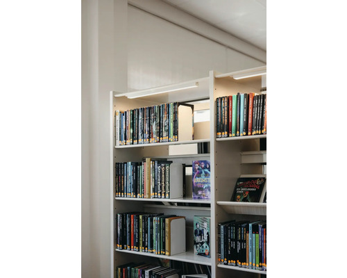 Hyllor med många böcker i ett bibliotek