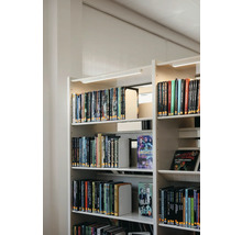 Bibliotekshylla med böcker