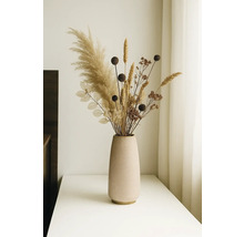 Dekorativa torkade blommor i en vas