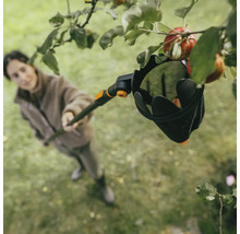 Kvinna plockar äpplen från trädet med en fruktplockare.