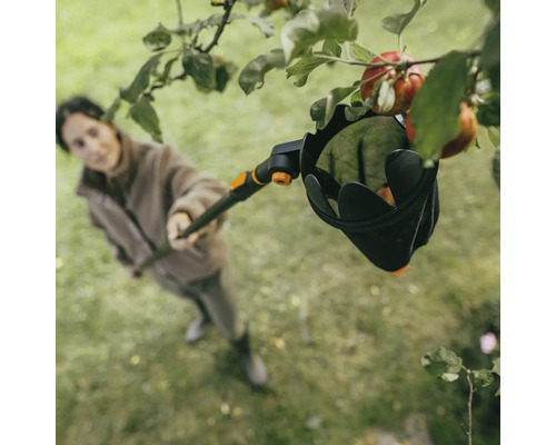 Kvinna plockar äpplen från trädet med en fruktplockare.