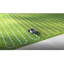 Robotgräsklippare i drift på en gräsmatta