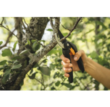 Trädgårdssax klipper en gren