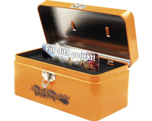 Metallbox HORNBACH mini orange Öppen verktygslåda med värdekupong för ett projekt