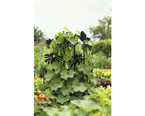 Gurkplantor på spaljé med blom- och fjärilsmotiv i grönsaksträdgården.