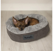 Hund sover i en rund, grå Scruffs hundsäng