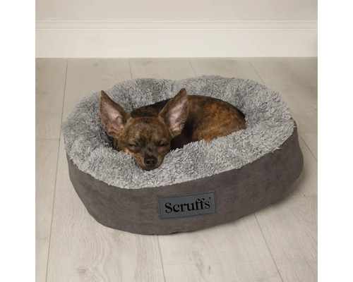 Hund sover i en rund, grå Scruffs hundsäng