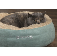 Grå katt ligger i en rund, bekväm Scruffs kattsäng