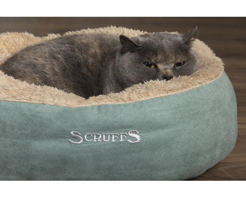 Grå katt ligger i en rund, bekväm Scruffs kattsäng
