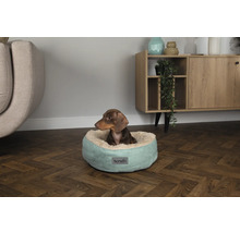 Tax i en rund, ljusgrön hundsäng från Scruffs