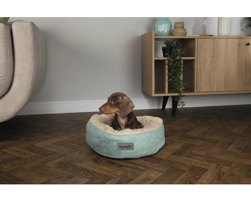 Tax i en rund, ljusgrön hundsäng från Scruffs