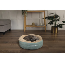 Katt sover i en rund Scruffs-kattsäng av plysch