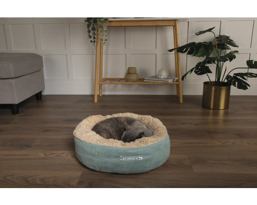 Katt sover i en rund Scruffs-kattsäng av plysch