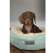 Tax i en hundsäng med Scruffs logotyp