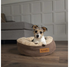 Hund ligger i en brun, rund hundsäng med Scruffs logotyp