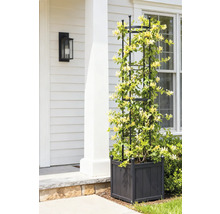 Klätterställning med planteringslåda och klätterväxt framför ett hus.