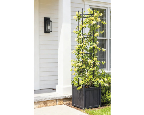 Klätterställning med planteringslåda och klätterväxt framför ett hus.