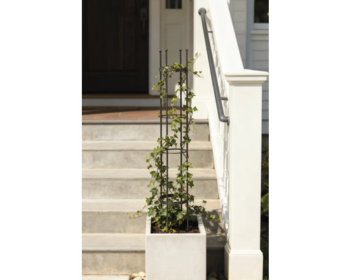 Planteringslåda med spaljé och murgröna på en trappa framför ett hus.