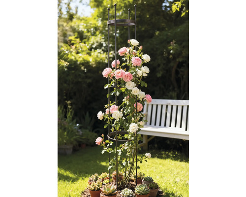 Klätterstöd i metall med rosor och suckulenter i trädgården