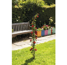 Trädgårdsvy med rosenbåge och två krokar