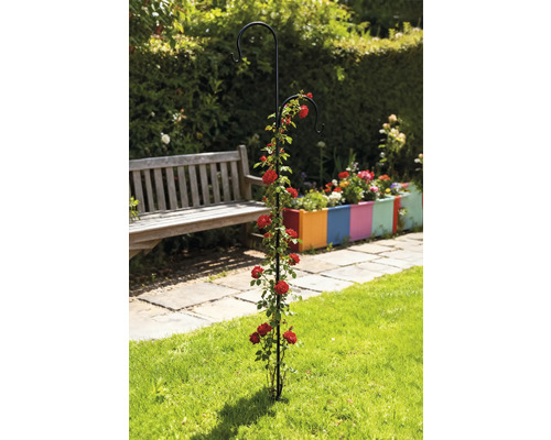 Trädgårdsvy med rosenbåge och två krokar