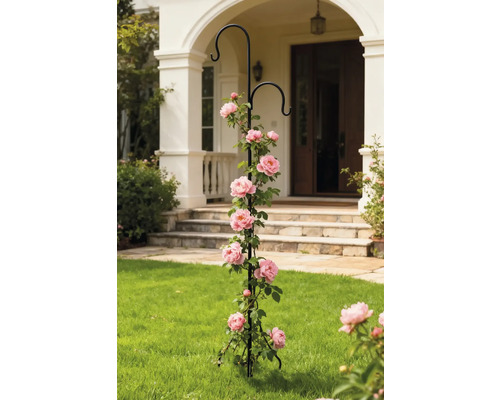 Rosbåge med rosenväxt i trädgården