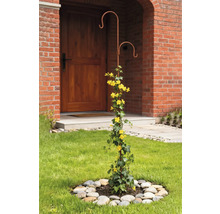 Dekorativt metallstativ för klätterväxter med gula blommor i trädgården.