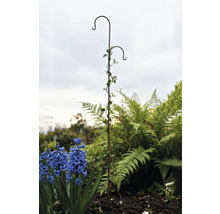 Trädgårdsutsikt med växthängare och blommor