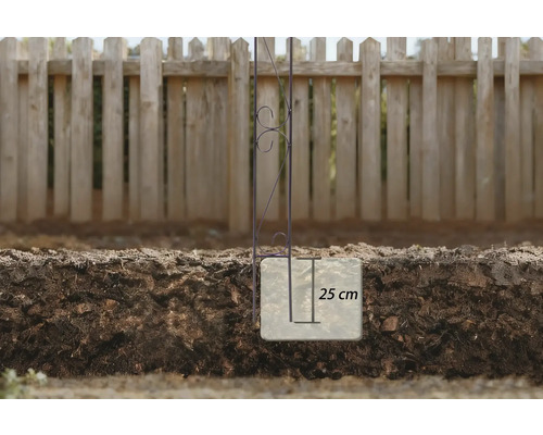 Metallväxtstöd med 25 centimeters markspett i trädgårdsrabatten framför ett trästaket