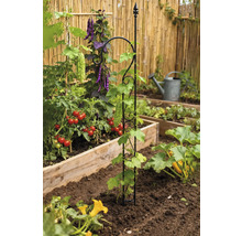 Grönsaksträdgård med spaljé för växter